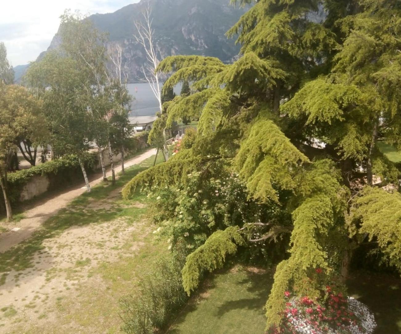 Villa Torbole Torbole Sul Garda Exterior photo